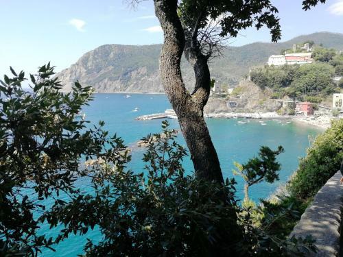 Apartamento La Terrazza Sul Mare [ ????? ] Monterosso
