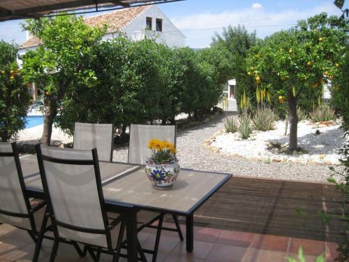 Bed & Breakfast Finca Lim�n