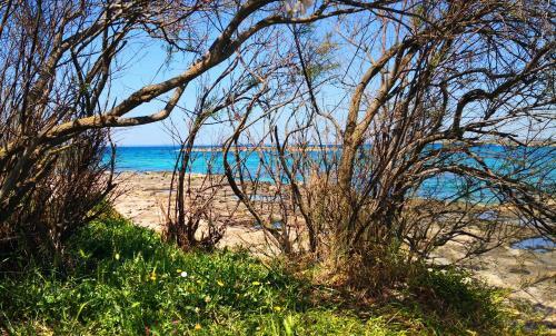 Villa Rustica Al Mare