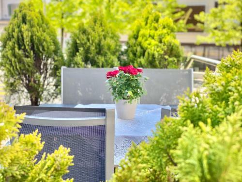 Hotel Hirschen Hinwil