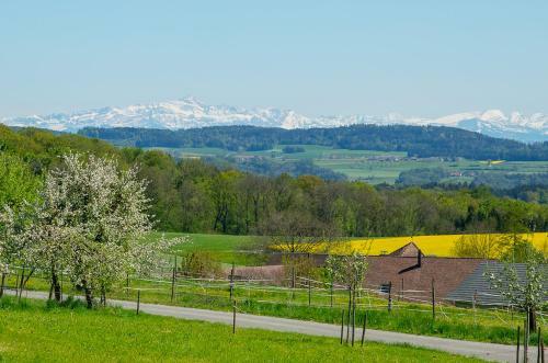Bed & Breakfast Hagschnurer Sch��r