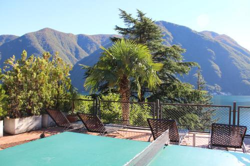 Apartamentos Garden Olive Dog Friendly