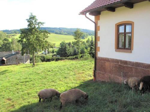 Holiday Home Doln� Ole?nice