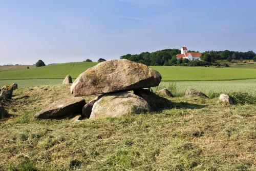 Bui Hotel Humble