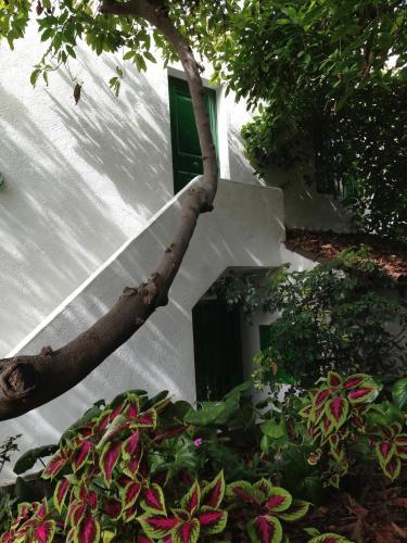 Apartments Finca El Rinc�n