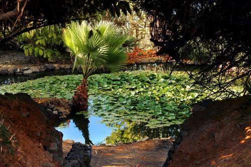 Apartments Finca El Rinc�n