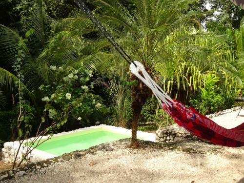 Hotel El Peque�o Gecko Verde