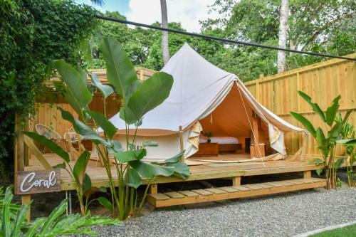 Seren Glamping