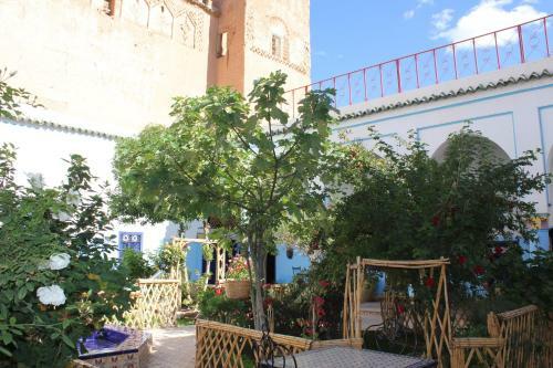 Hostal Escale Rando Taliouine