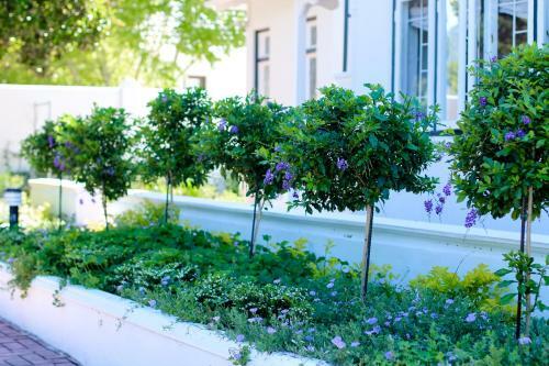 Hostal Whispering Oaks Guest House