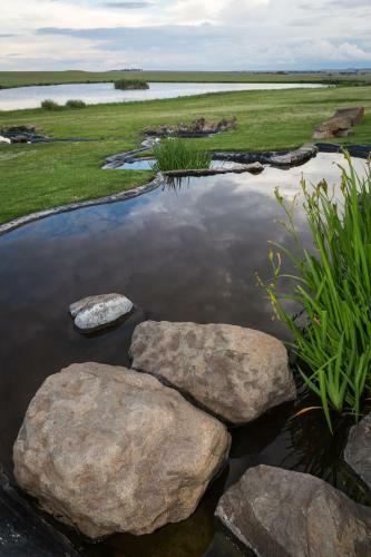 Hostal Francolin Creek