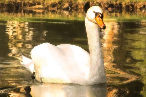 De Werf Lodge