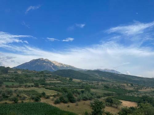 Hostal Alpeta Agrotourism & Winery - Roshnik , Berat