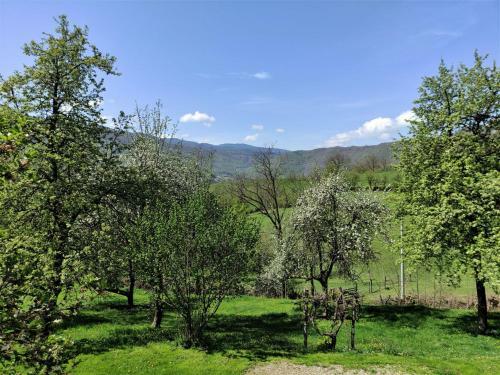 Bed & Breakfast Apatments Radoja - Pliva