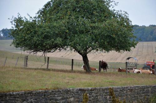 Hostal La Ferme Aux Glycines
