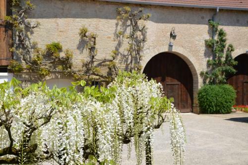 Hostal La Ferme Aux Glycines