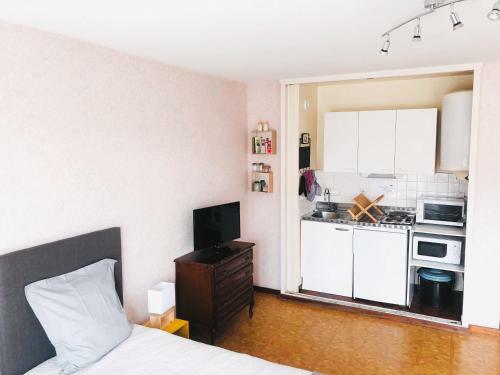 Apartamento Beau Studio Avec Agr�able Loggia Et Vue D�gag�e