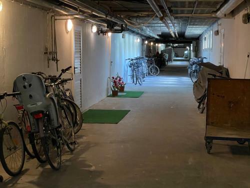 Fesztiv�l Balaton Parti Apartman