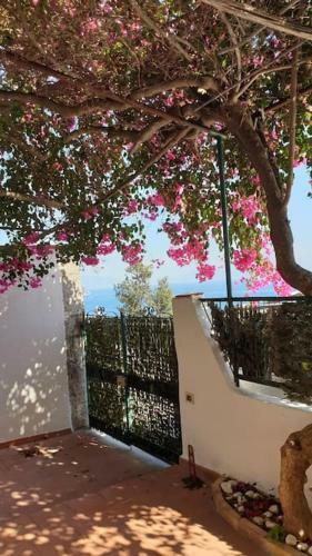 Casa Grace Amalfi
