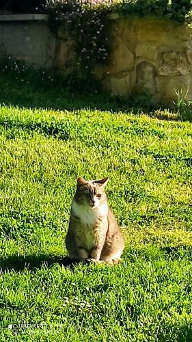 B&B La Casina Di Iris