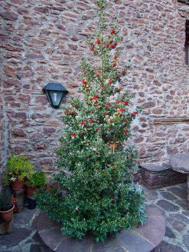 Apartamento Turisme Rural Lo Pall� De Cal Bosch