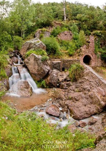 Apartamento Turisme Rural Lo Pall� De Cal Bosch