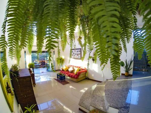 Bed & Breakfast Minha Casa De Geriba Guest House