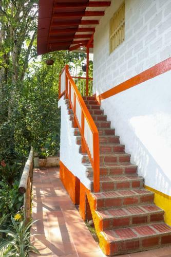 Hostal Finca Los Abuelos - La Planta
