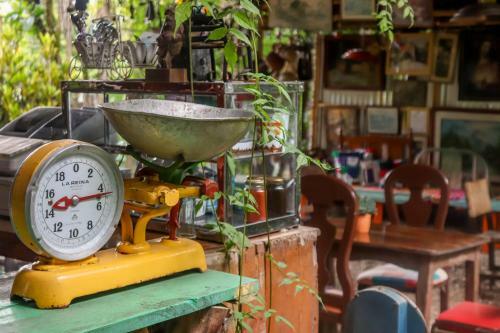 Hostal Finca Los Abuelos - La Planta
