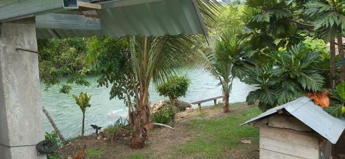 Albergue Yaxlik River Lodge