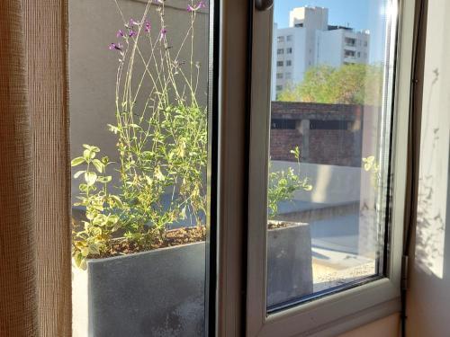 Apartamento Balcones Verdes 1705