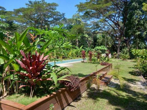 Jungle Lodge- Casa Caracoles-feeling Trees