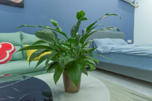 Locals Apartment House 04