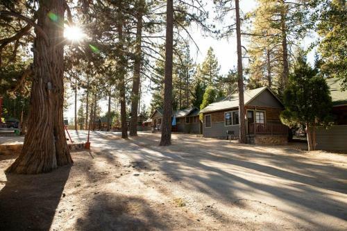 Coyote Pines #2061 By Big Bear Vacations