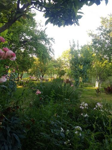 Albergue Hotel Villa Davidl