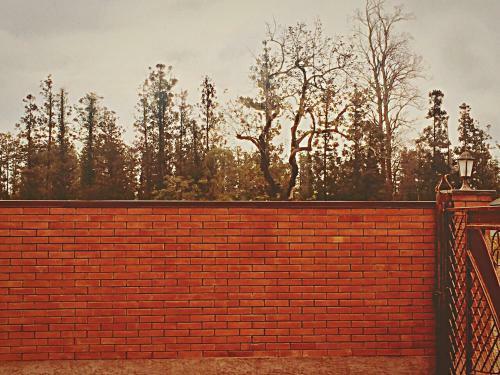 Hotel Cottage Euro Style