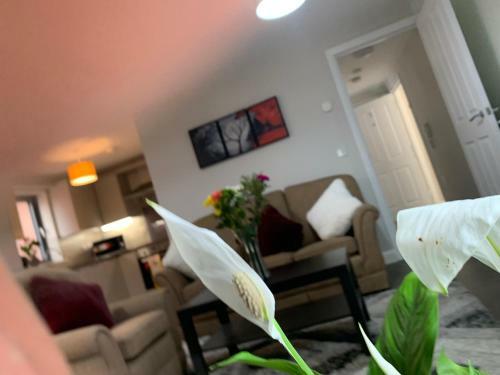 Luxury Modern Belfast City Centre 2 Bed Apartment