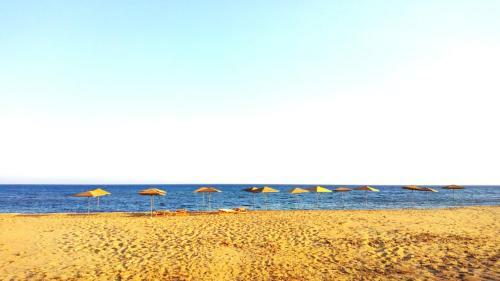 Maison Shamandura Near The Sandy Beach