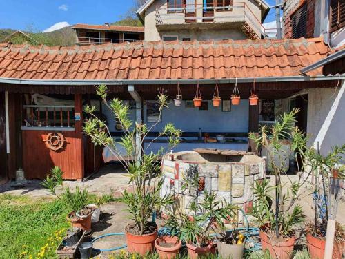 Hostal Nesovic