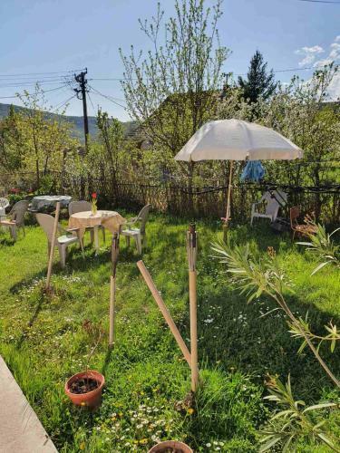 Hostal Nesovic