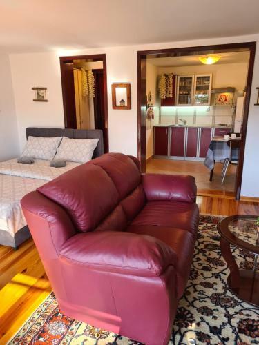 Zlatibor Vila Apartman