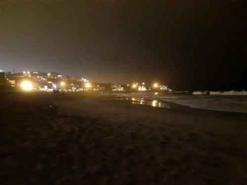 Apartamento Alquiler Dpto De Playa
