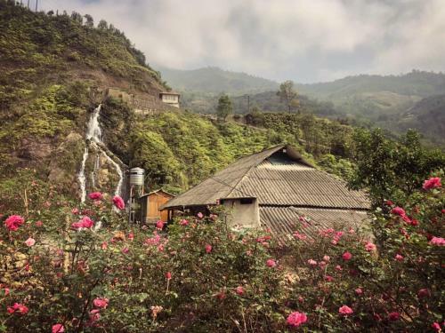 Agroturismo Sapa Natural Forest Farmstay