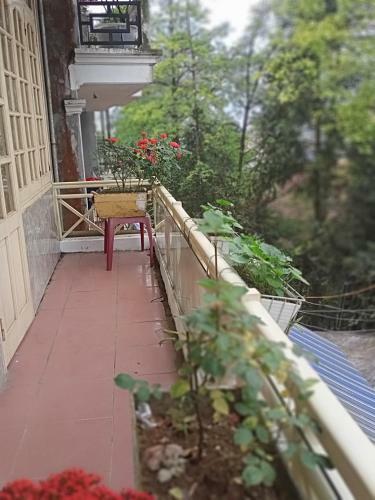 Bed & Breakfast Hoang Long Hotel