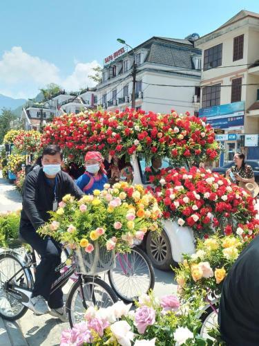 Bed & Breakfast Hoang Long Hotel
