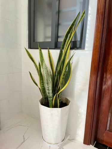 Lason Nha Trang Hotel & Apartment