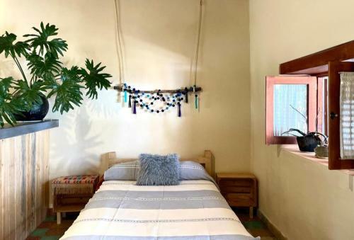 Habitaciones Privadas En Casa Colonial