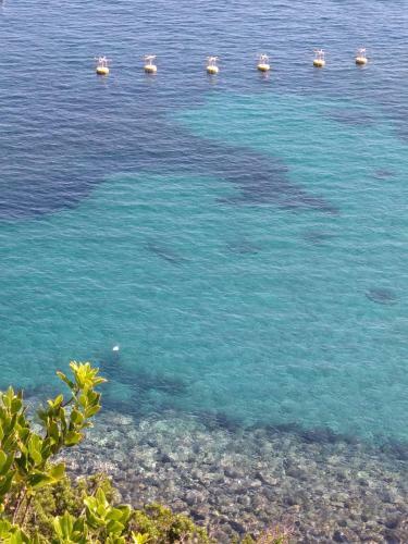 Apartamento Voglia Di Mare
