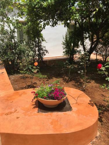 The House With The Garden