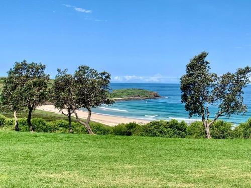 The Explorer / Shell Cove